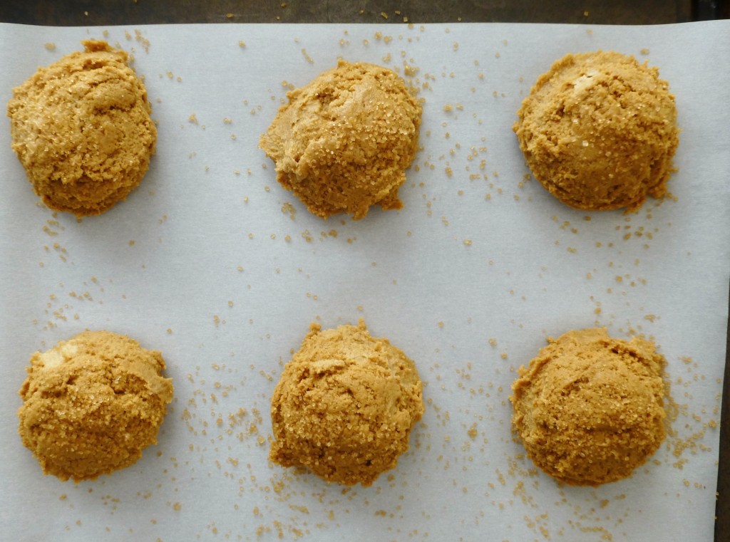 ginger molasses cookie dough