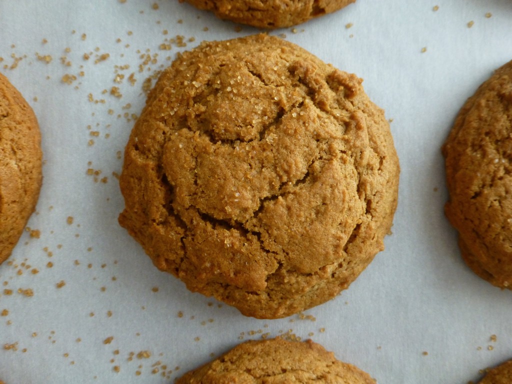 ginger molasses cookie