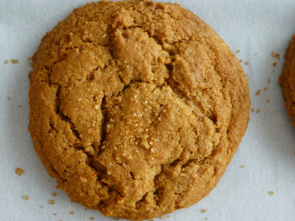 ginger molasses cookie