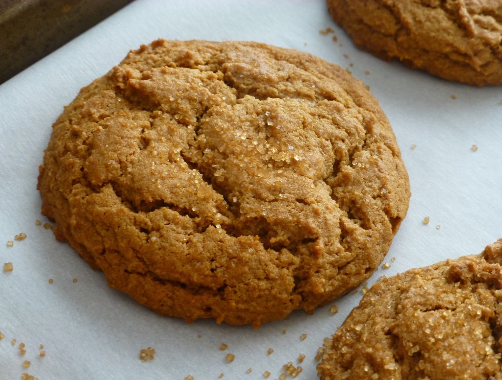 ginger molasses cookie